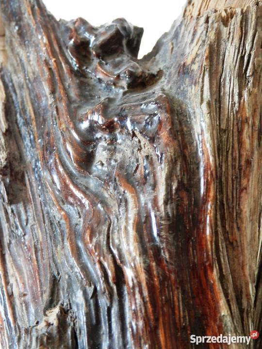 Lampa wykonana ze skamieniałego drewna unikatowy Szczecinek