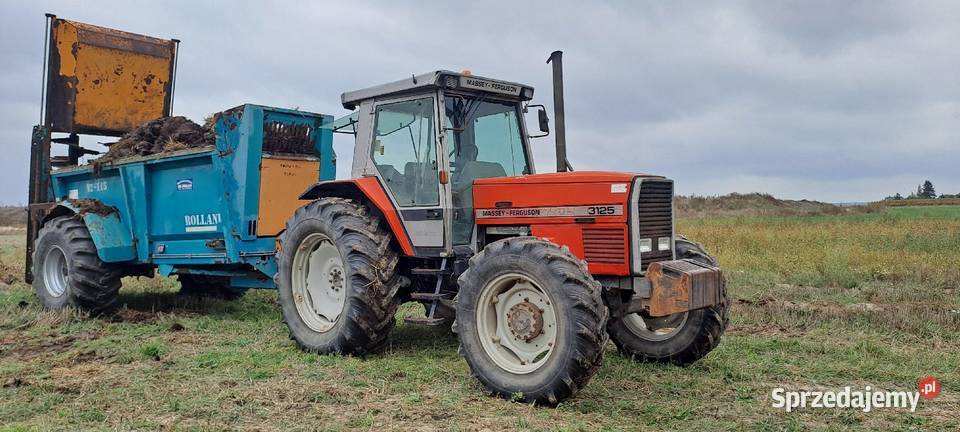 traktor Masey ferguson Deutz Lamborgini holand Zbuczyn