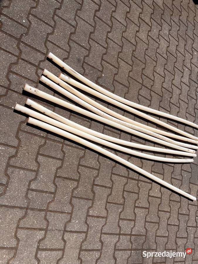 Prętybanany otrząsające BRAUD Rawa Mazowiecka sprzedam