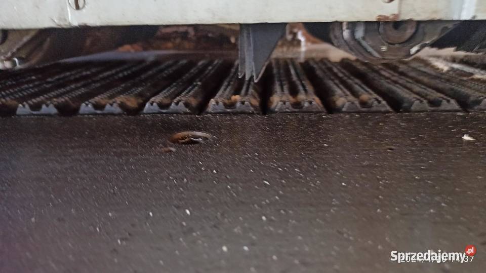 Wielopiła gąsienicowa OSKA OKPW120 300120 lignum lubuskie Kłodawa