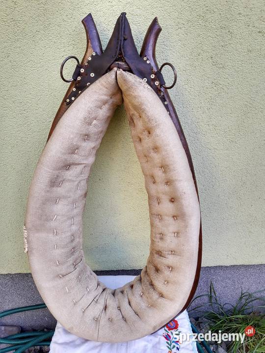 Zadbane chomąto krakowskie z podkładem Dekoracje i ozdoby Sułków sprzedam