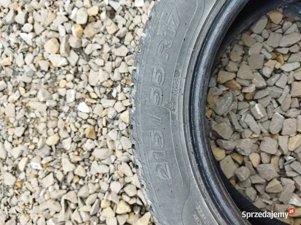 sava eskimo hp2 21555217 zima podkarpackie Jasło