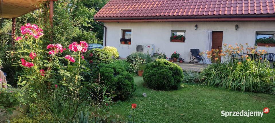 Siedlisko Rodowe Lechja rekreacyjny Lipowa