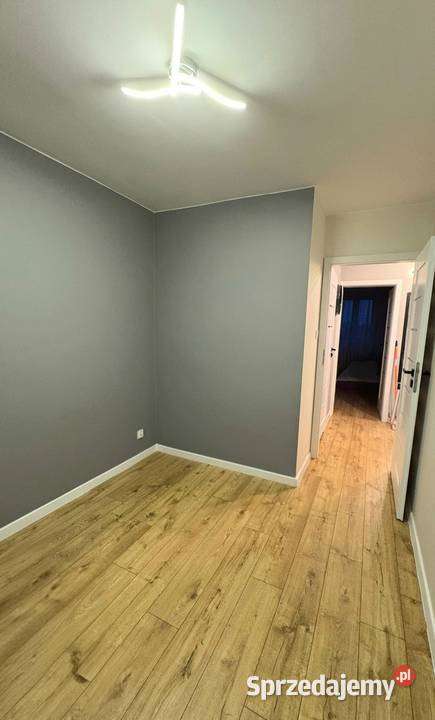 Mieszkanie 3pokojowe generalnym remoncie 54m2 sieć