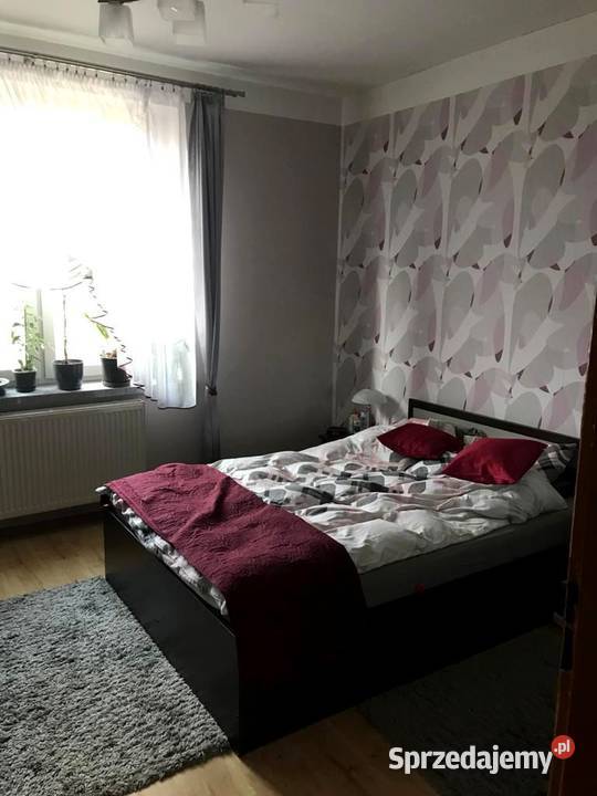 3pok 65met Babimojskiej PIWNICAKOMÓRKA Wrocław