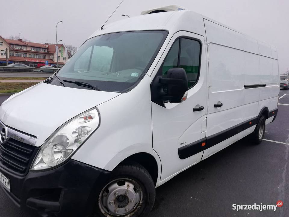 Chłodnia bliźniak master Movano