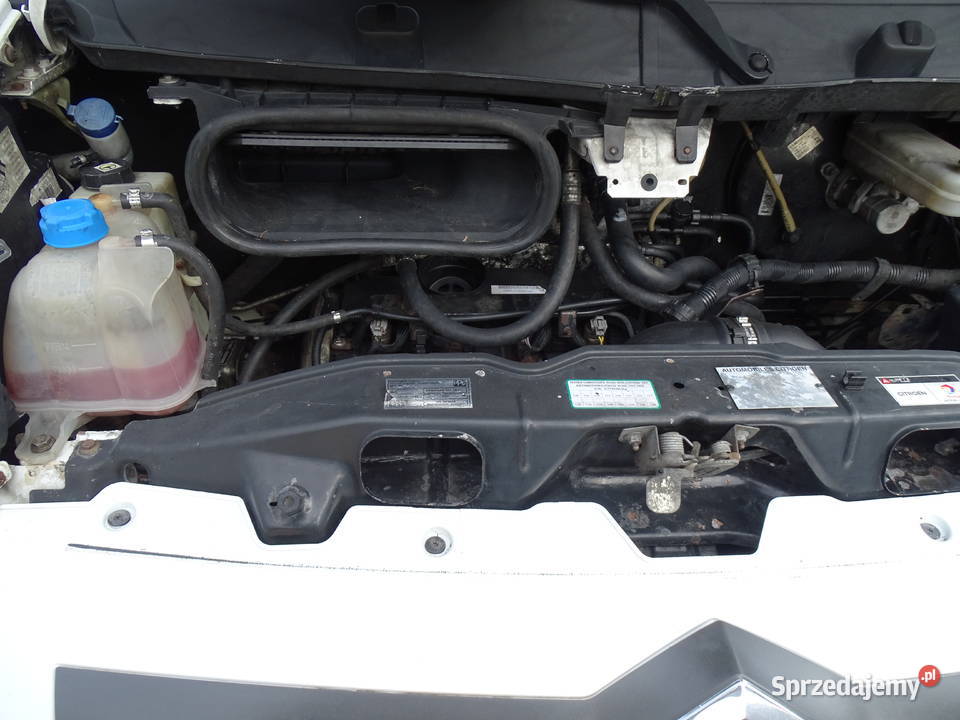 Citron JUMPER 120 KONI L3 H2 7OSÓB KLIMA sprawna Poznań sprzedam