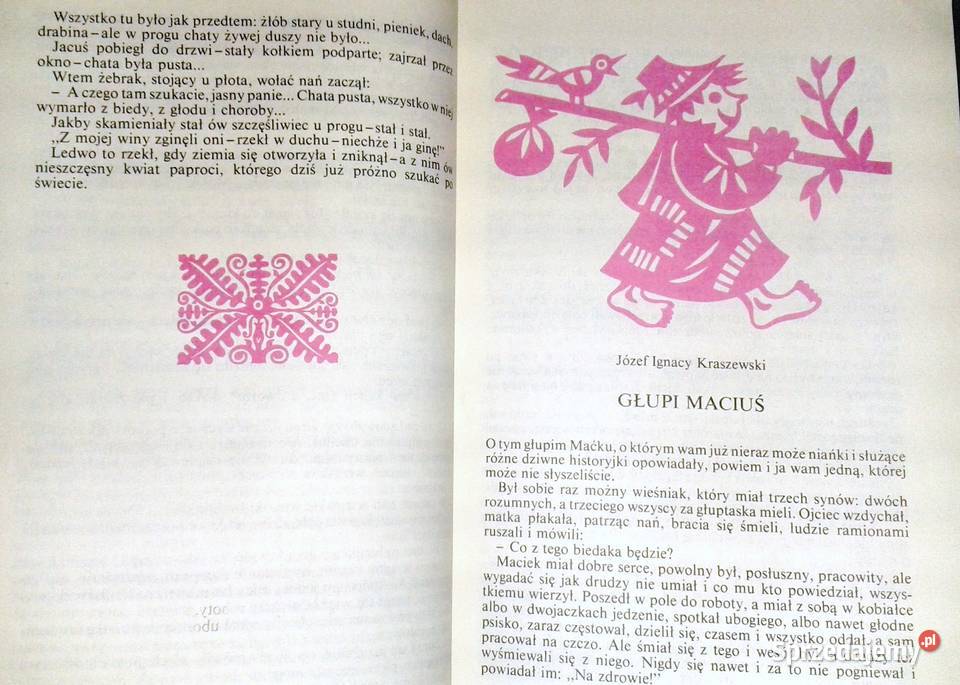 Kwiat paproci i inne baśnie polskie Hanna