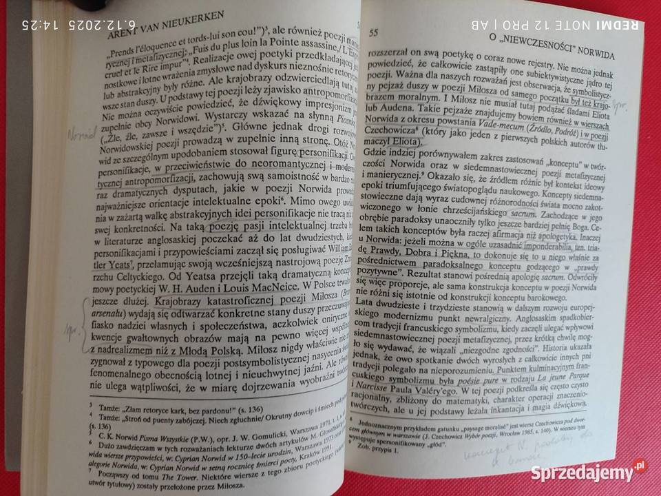 Teksty Drugie 6 36 1995 Romantyzm wiecznie żywy Katowice