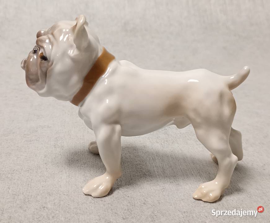 BG Bing Grondahl 1676 Bulldog Dahl Jensen Gdańsk