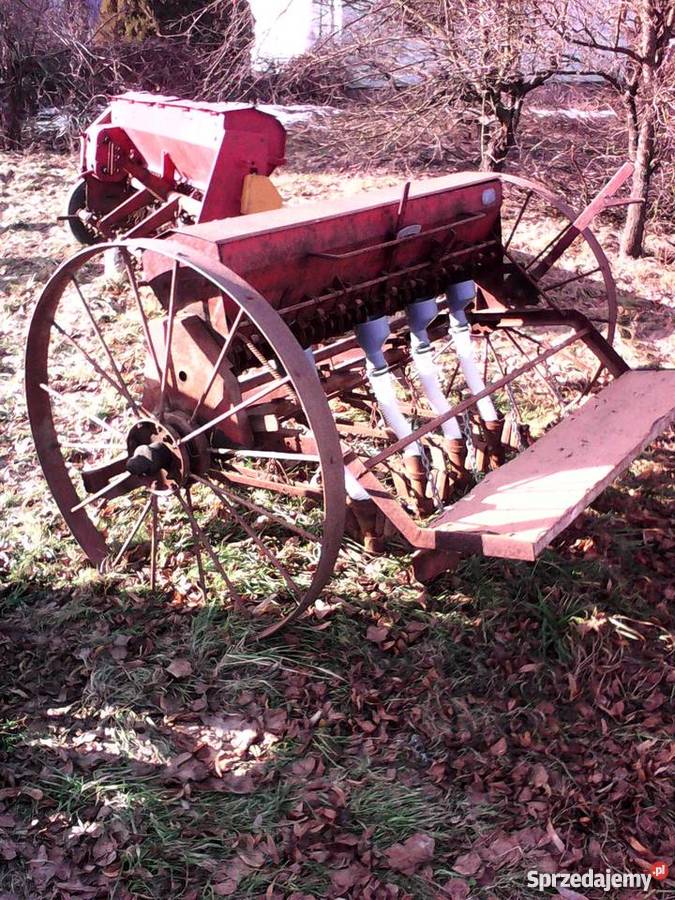 sadzarka do czosnku cebuli bobu 4 rzędowa