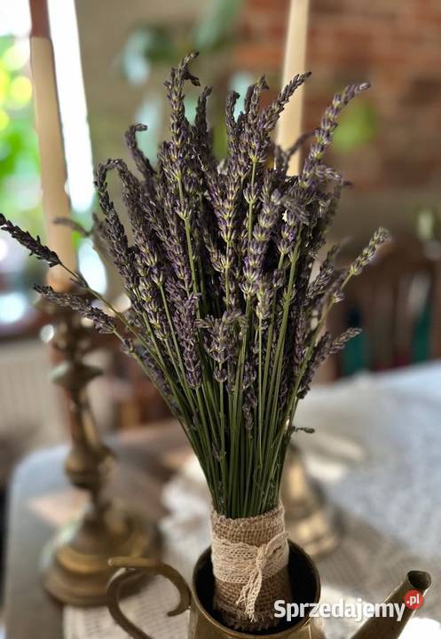 Bukiety lawendowe dekoracje kompozycje kwiatowe Kompozycje kwiatowe Piotrków Trybunalski sprzedam