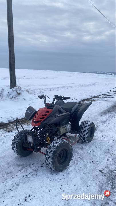 Quad 125 110 150 250 bashan kymco Yamaha cross