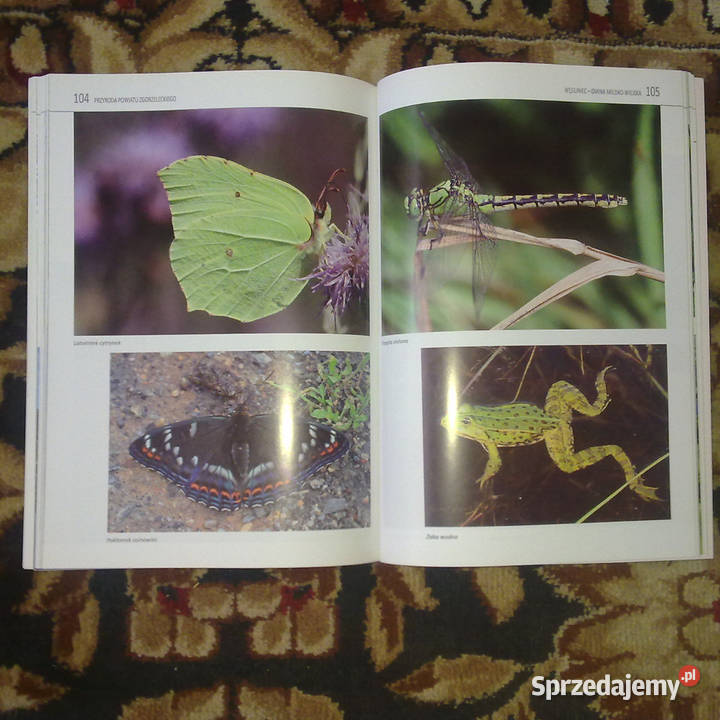 Książka Przyroda powiatu Zgorzeleckiego