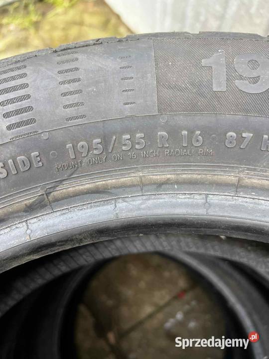 Continental ContiEcoContact 5 19555R16 Iława