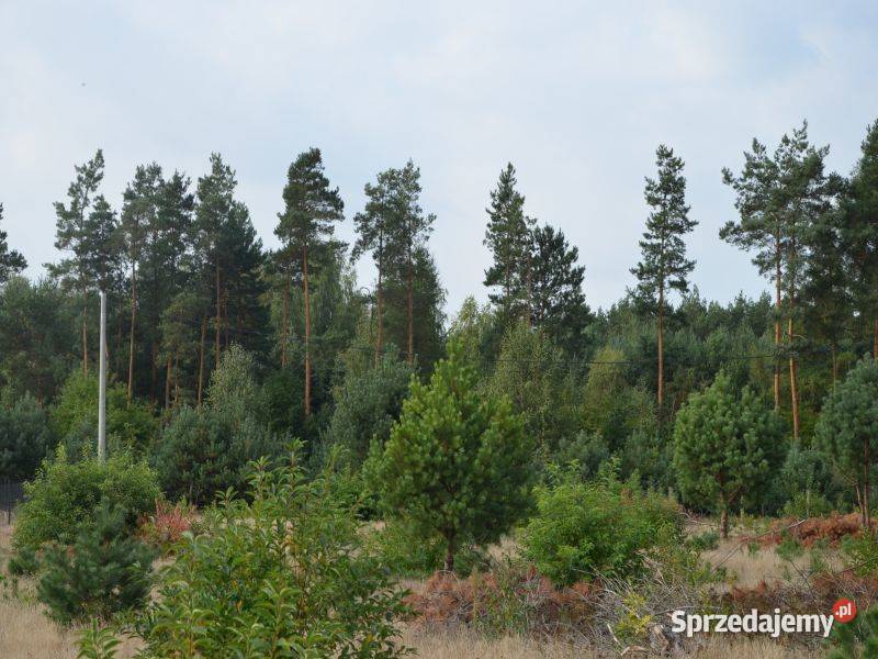 Działka budowlana w spokojnej okolicy jeziora prąd Miałkówek