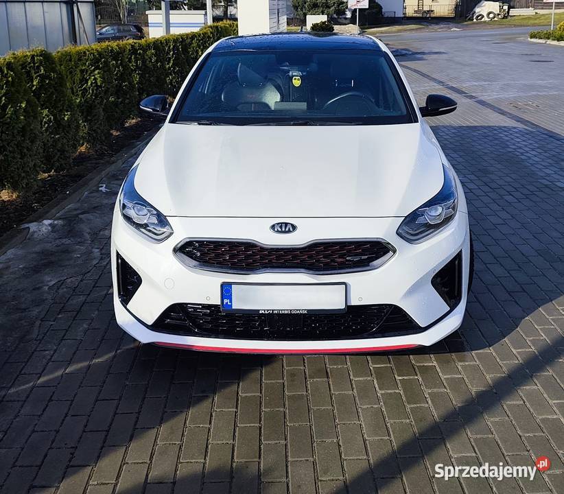 Kia ProCeed serwisowany w ASO biały 2019 r Piastoszyn