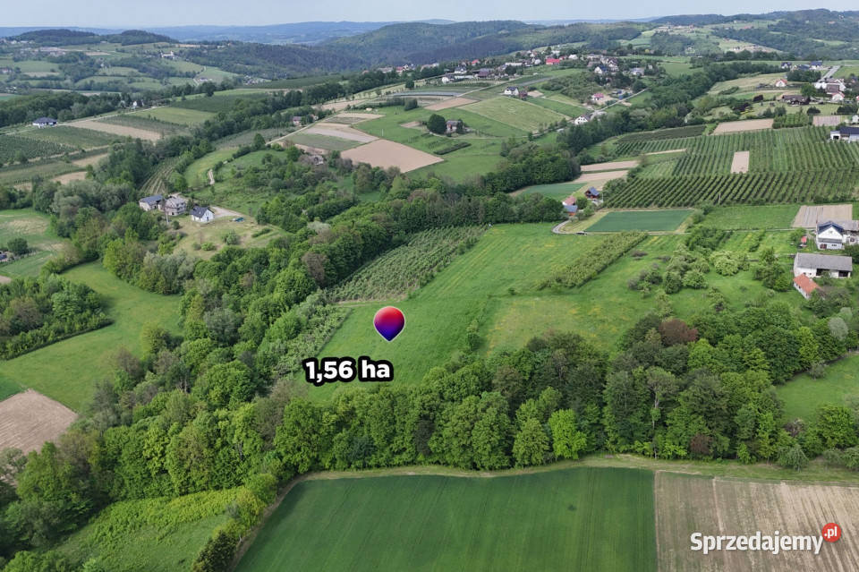 Działka rolnoleśna 156 ha Sadek Jodłownik małopolskie