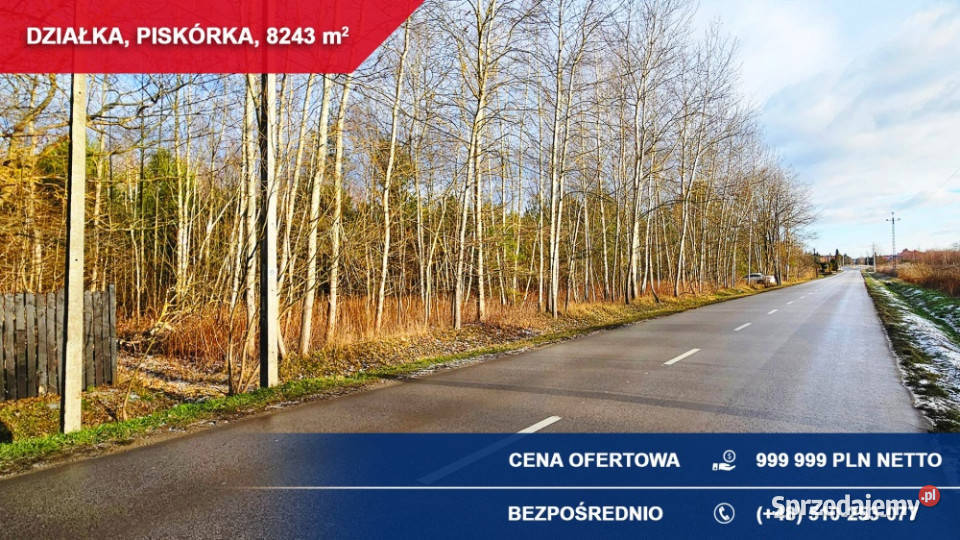 działka lesie z doskonałym dojazdem 8243 m Sprzedaż Piskórka
