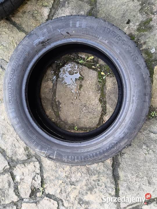 Opony letnie Continental 195 55 r16 Warszawa