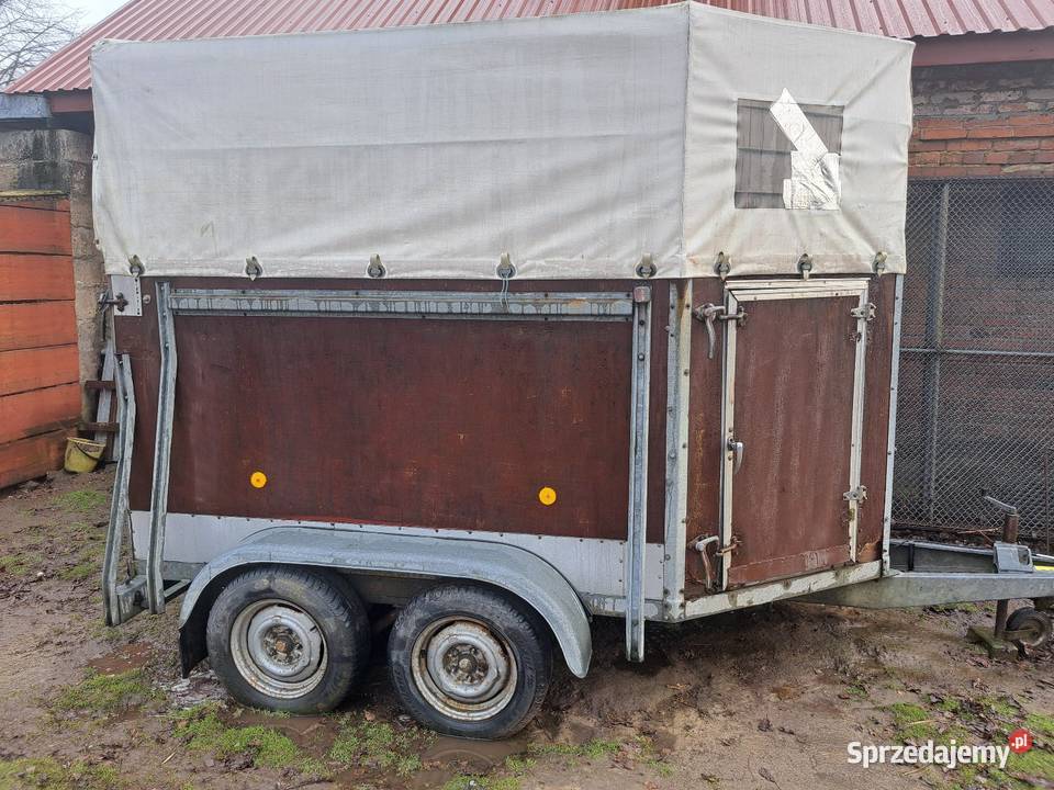 Przyczepka do przewozu koni lubelskie Natalin