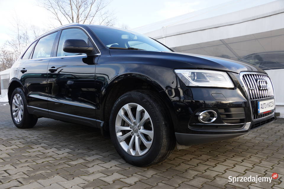 Audi Q5 20 TDI CR 150 Lift 4x4 Połskóra Biksenon nieuszkodzony Nowy Sącz