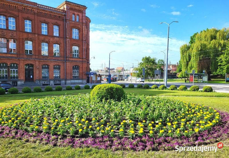 Mieszkanie 15 Granica Niemiecka Szczecin Białystok
