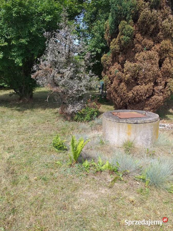 Ogródek ROD w Kamieńcu Wrocławskim 500m2 sprzedam
