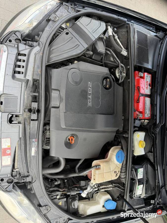Audi A4 B7 warmińsko-mazurskie