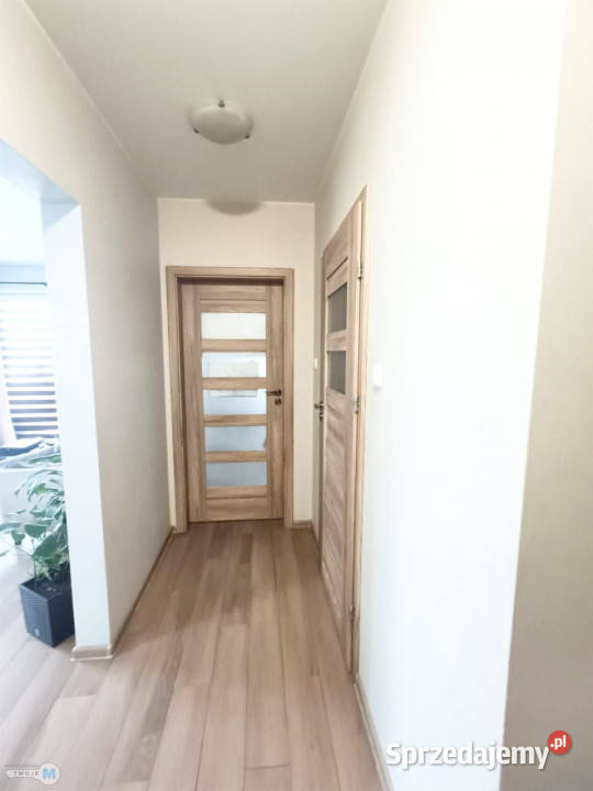 sprzedaży mieszkania 4113m2 Kielce świętokrzyskie