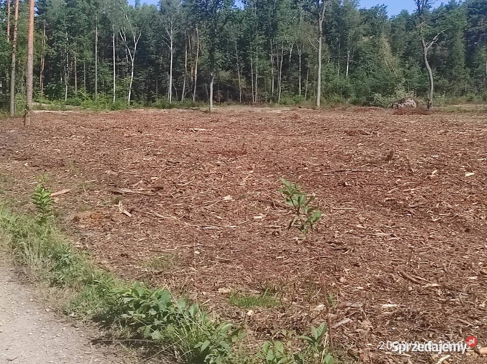 mulczowanie nieużytków Brzezinka