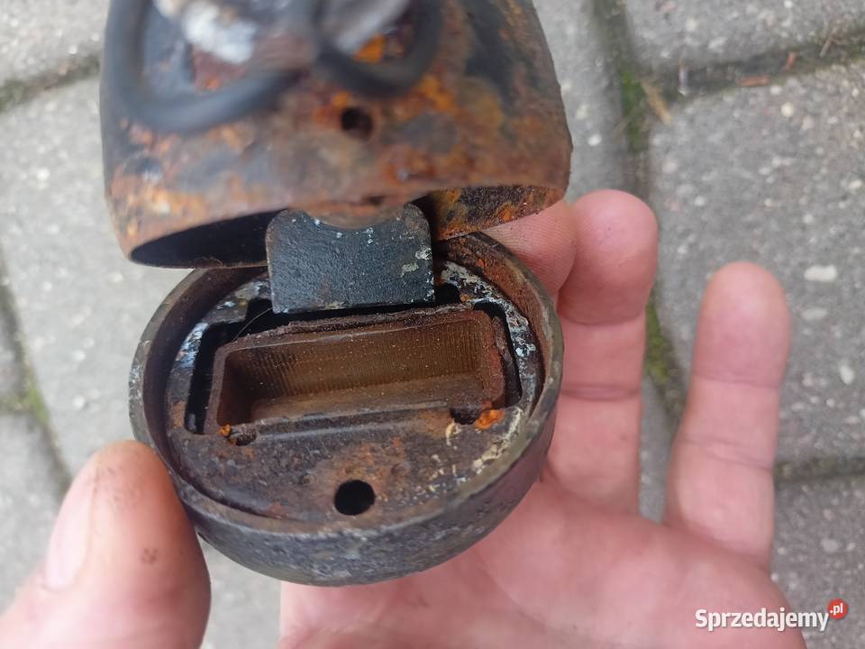 Willys MB Ford GPW notka terenowe kujawsko-pomorskie Bydgoszcz