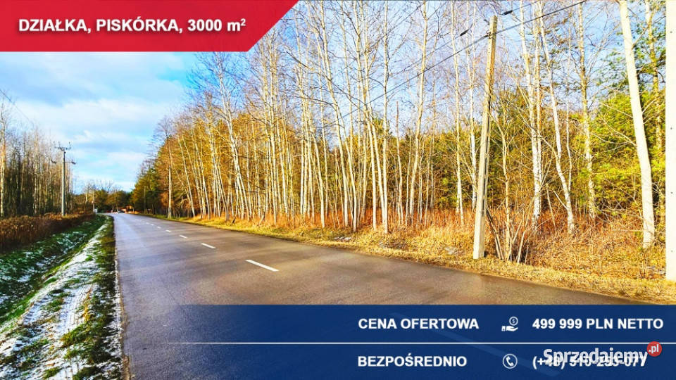 Działka budowlana 3000 m LESIE Piskórka gm Sprzedaż