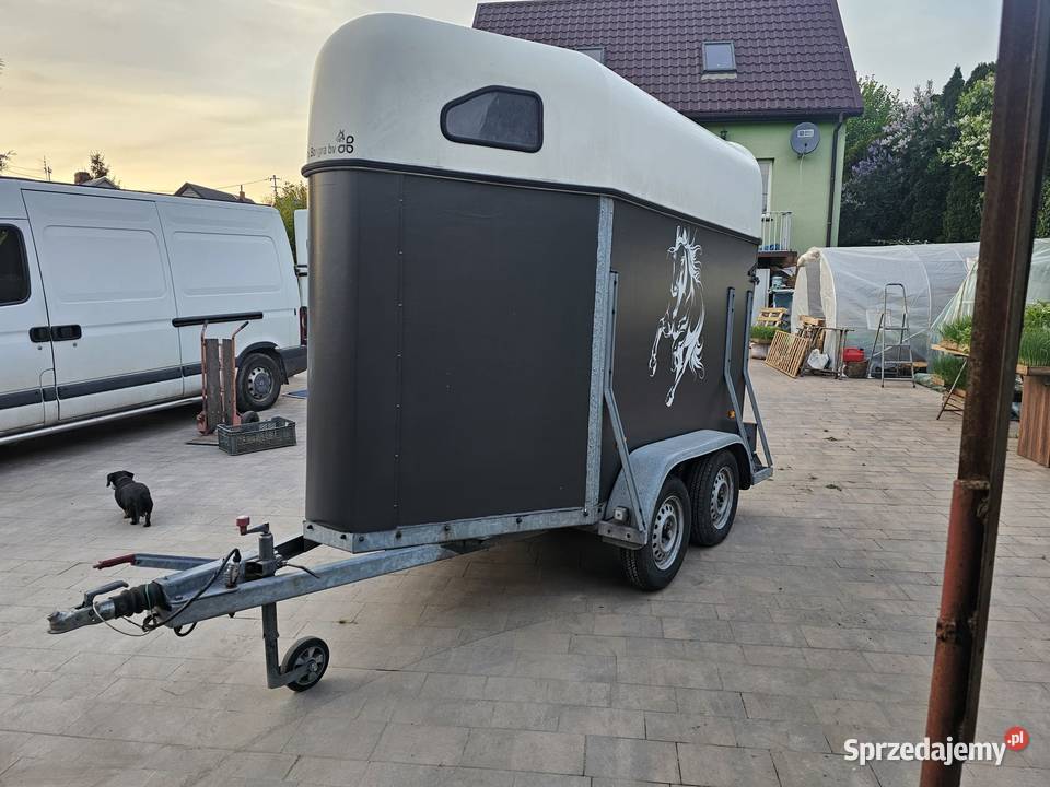 Sprzedam przyczepę do przewozu jednego konia Sandomierz sprzedam
