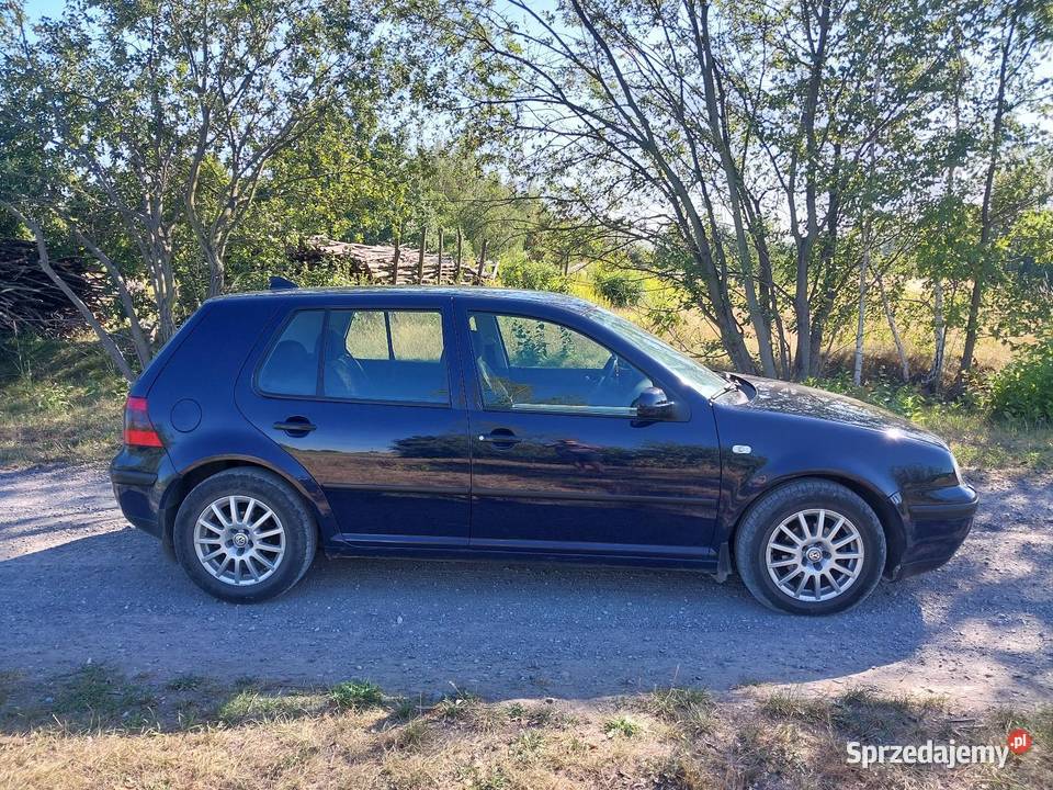 Volkswagen Golf IV 14 16v Wola Zarczycka