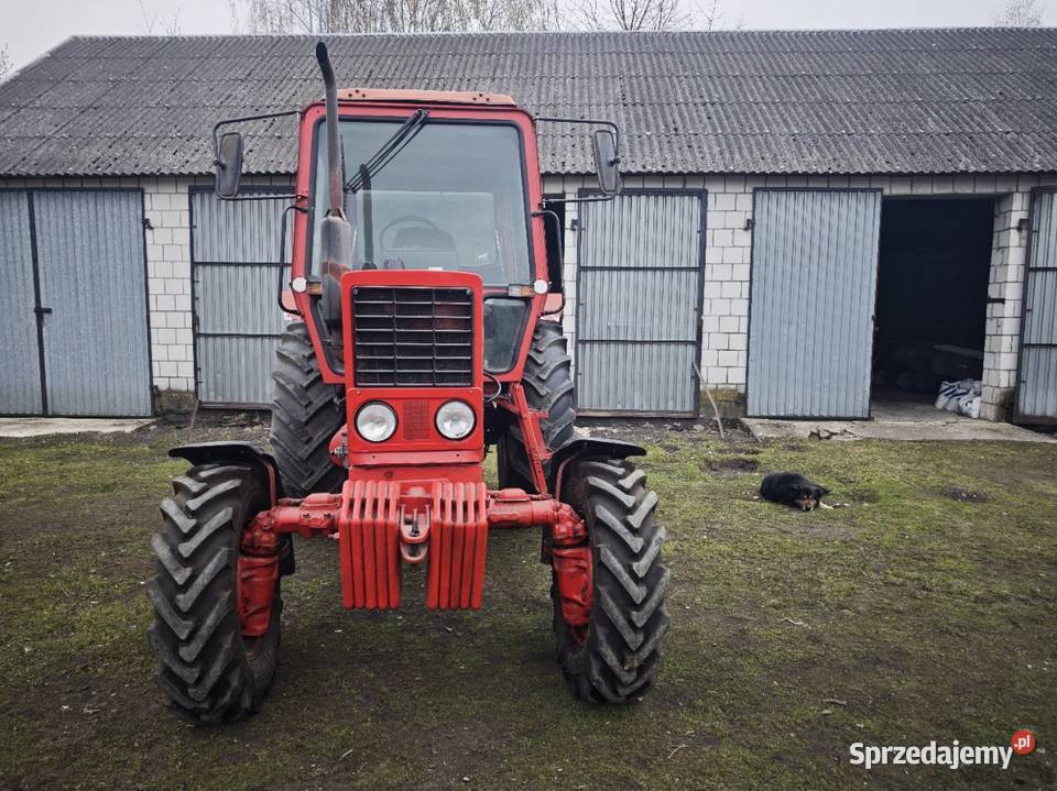 MTZ82 MTZ Wojsławice