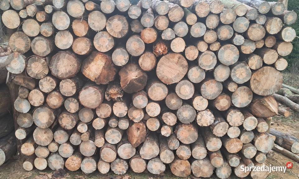 Drewno opałowe sosnowe posusz Kałuszyn