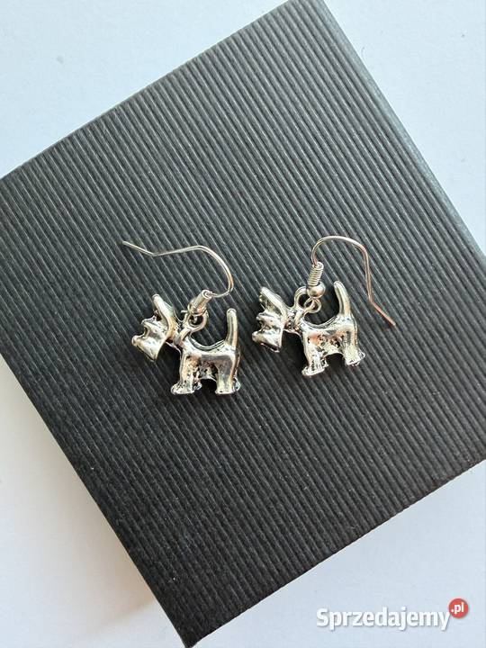 Kolczyki z metalu pieski Łomża