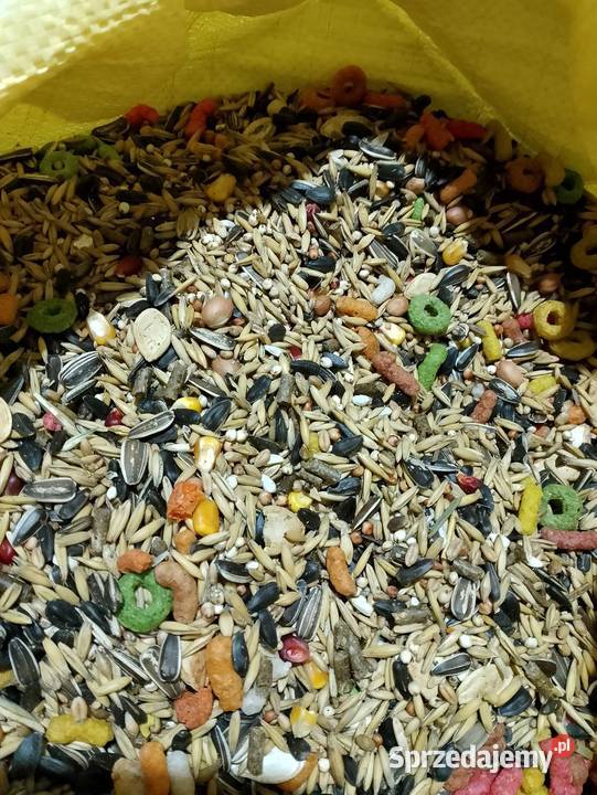 Karma papug kanarków gryzoni Ptaki opolskie