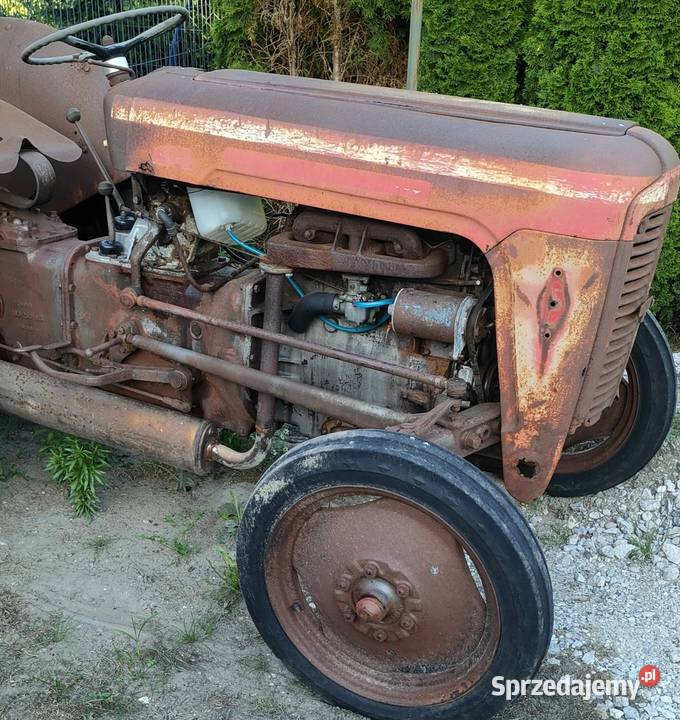 Massey Ferguson MF 35 kujawsko-pomorskie Kornatowo