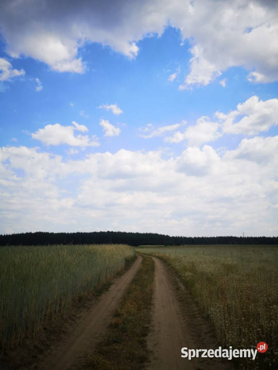 Sprzedam bezpośrednio działkę 4400m2 Nowe Chrostkowo Nowe
