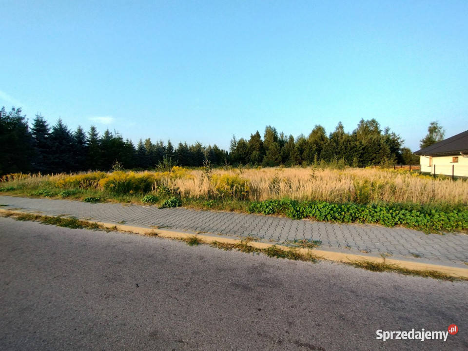 Grunt Niemce 2770m2 lubelskie