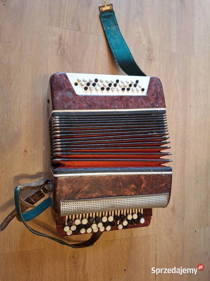 Akordeon Harmonia guzikowa Szewna