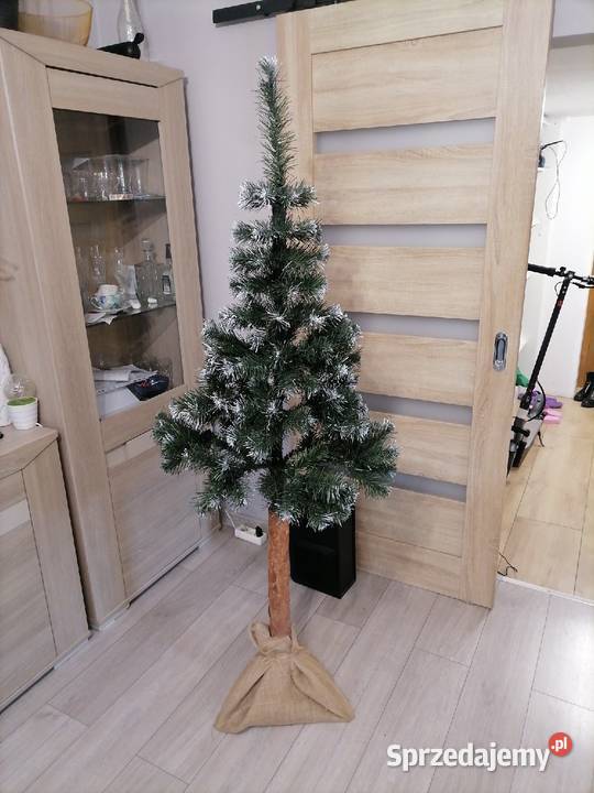 Choinka na pniu 180 świętokrzyskie Ostrowiec Świętokrzyski sprzedam