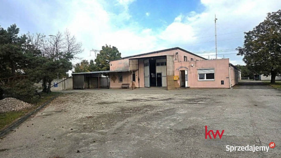 Ogłoszenie lokal Sierosław Dworska 600m2 wielkopolskie