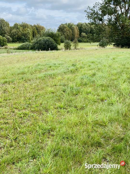 Z pięknymi widokami Łabędzie sprzedam