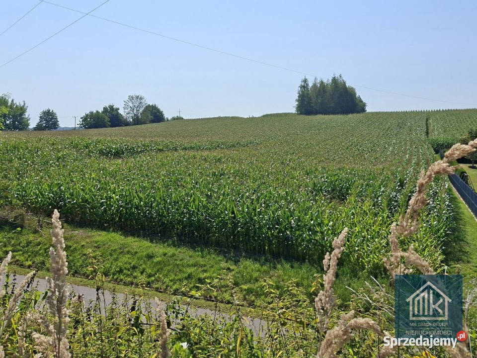 sprzedaży gruntu Bodzanów 8100m2 małopolskie