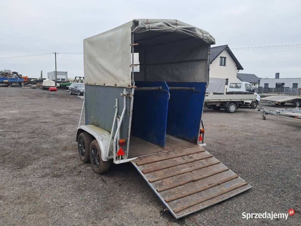 Przyczepa do koni Mogilno