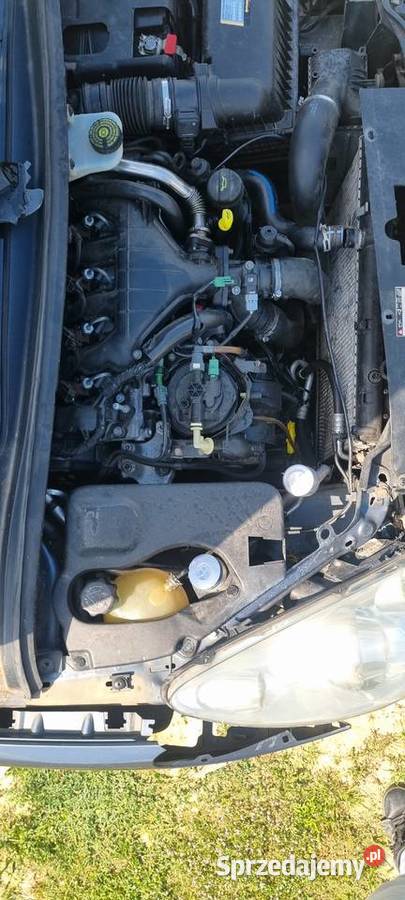 Peugeot 307 Strzyżów