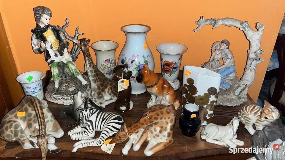 Żyrafa wysoka Łomonosow